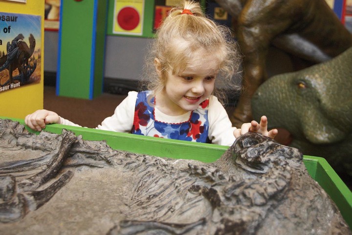 Great Half-Term Dinosaur Hunt