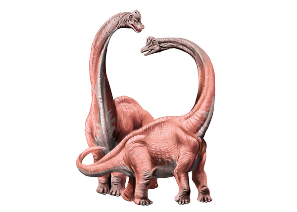 argentinosaurus vs brachiosaurus