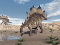 <p>Stegosaurus had a brain the size of a walnut - only 3 centimetres long and weighing 75 grams. However, comparing brain size to body size sauropodomorphs, like Plateosaurus, were probably one of the dumbest dinosaurs.</p>