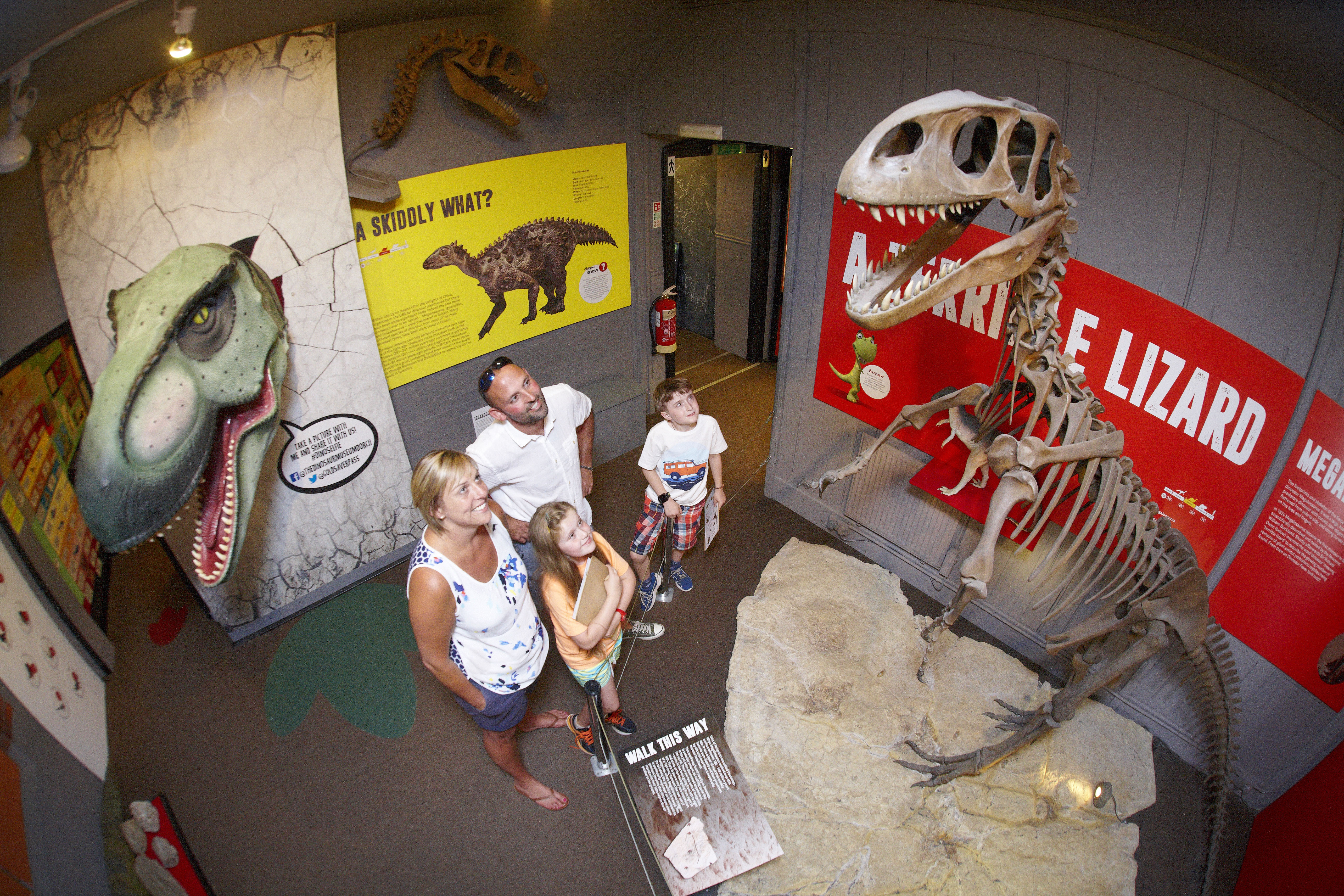 new dinosaur museum