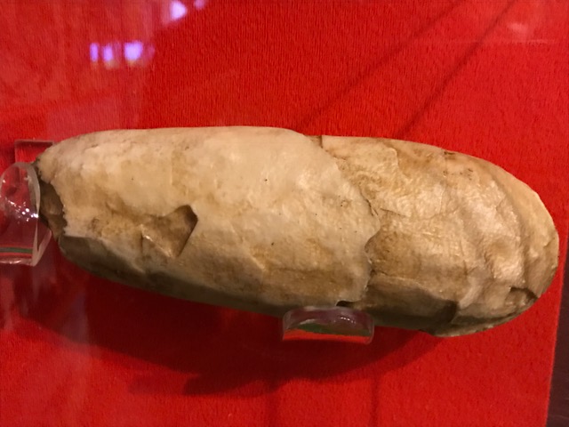 An Oviraptor Egg from the Cretaceous period as exhibited in The Dinosaur Museum