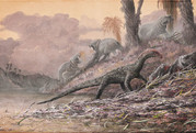 New discovery finds ‘missing link’ in dinosaurs history