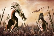 Giant Winged Predators could of Eaten Dinosaurs