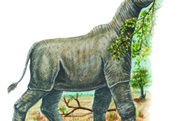 Dinosaurs and Mammals Near Extinction